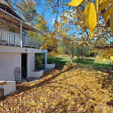Zeusplace Staliki House